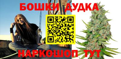 индика Комсомольск-на-Амуре