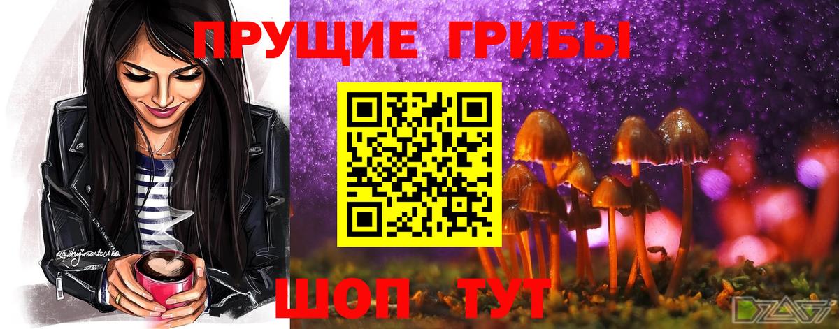 Галлюциногенные грибы GOLDEN TEACHER  Псилоцибиновые грибы Magic Shrooms  Вход с VPN  Карпинск 